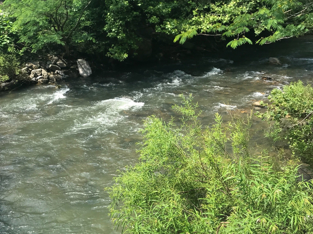 Big Soddy Creek Gulf-Soddy Daisy必去景点