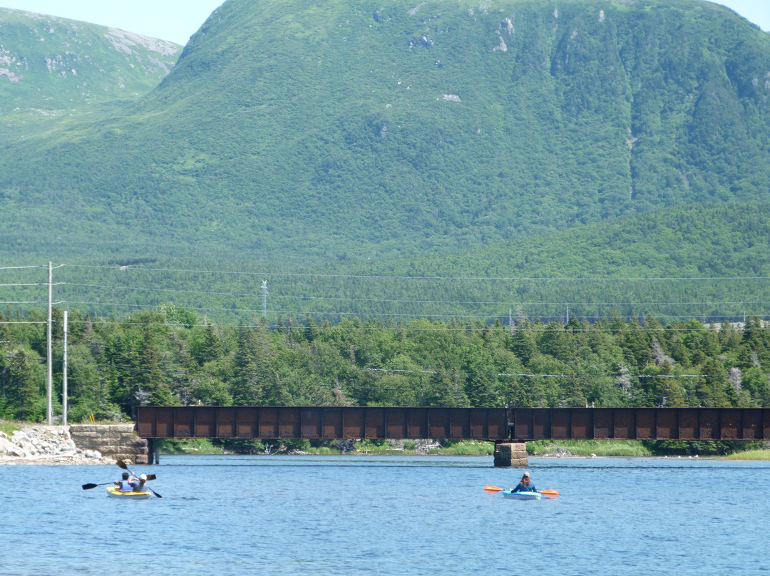 Codroy旅游攻略图片
