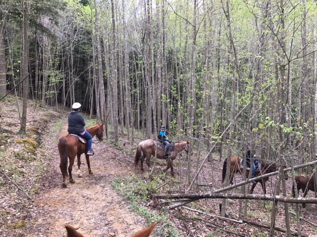 Happy Trails Horseback Riding景点图片