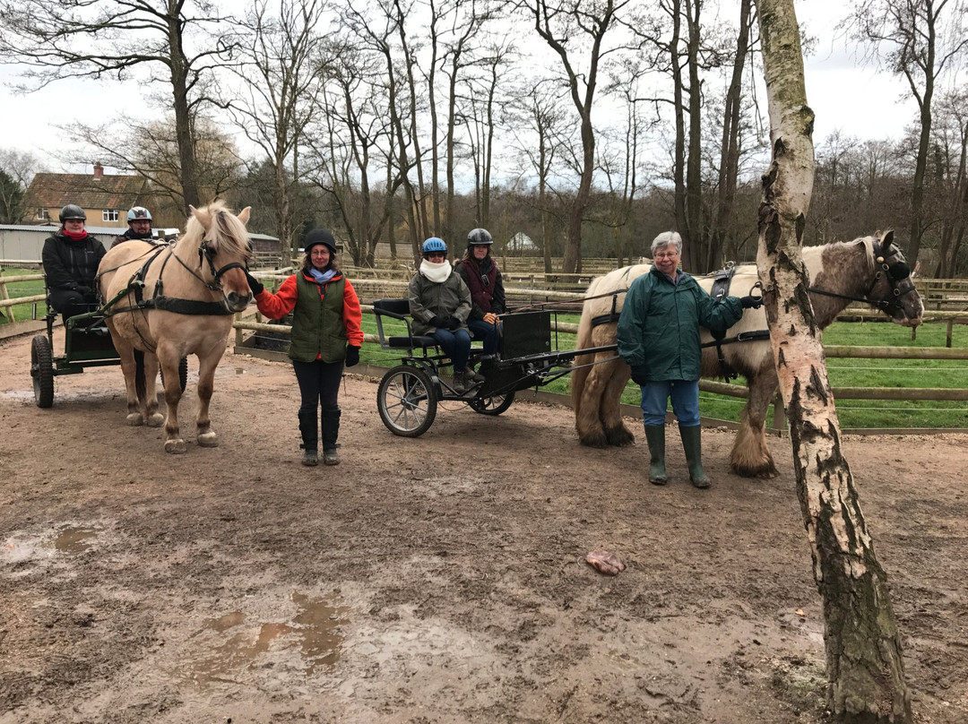 Horse Haven Uk景点图片