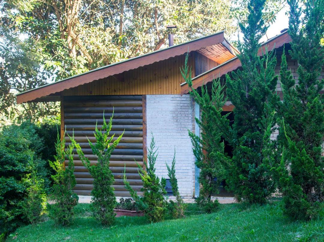 巴比伦的悬挂花园主图