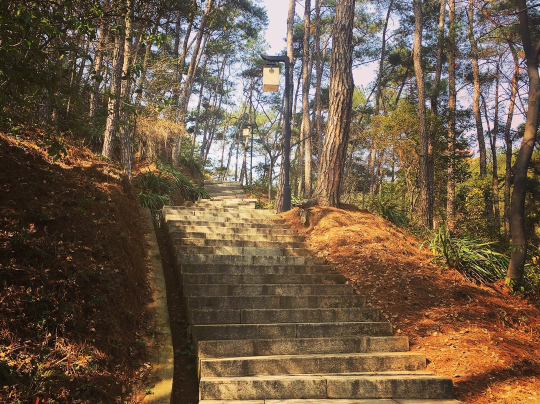 南平九峰山-南平市必去景点