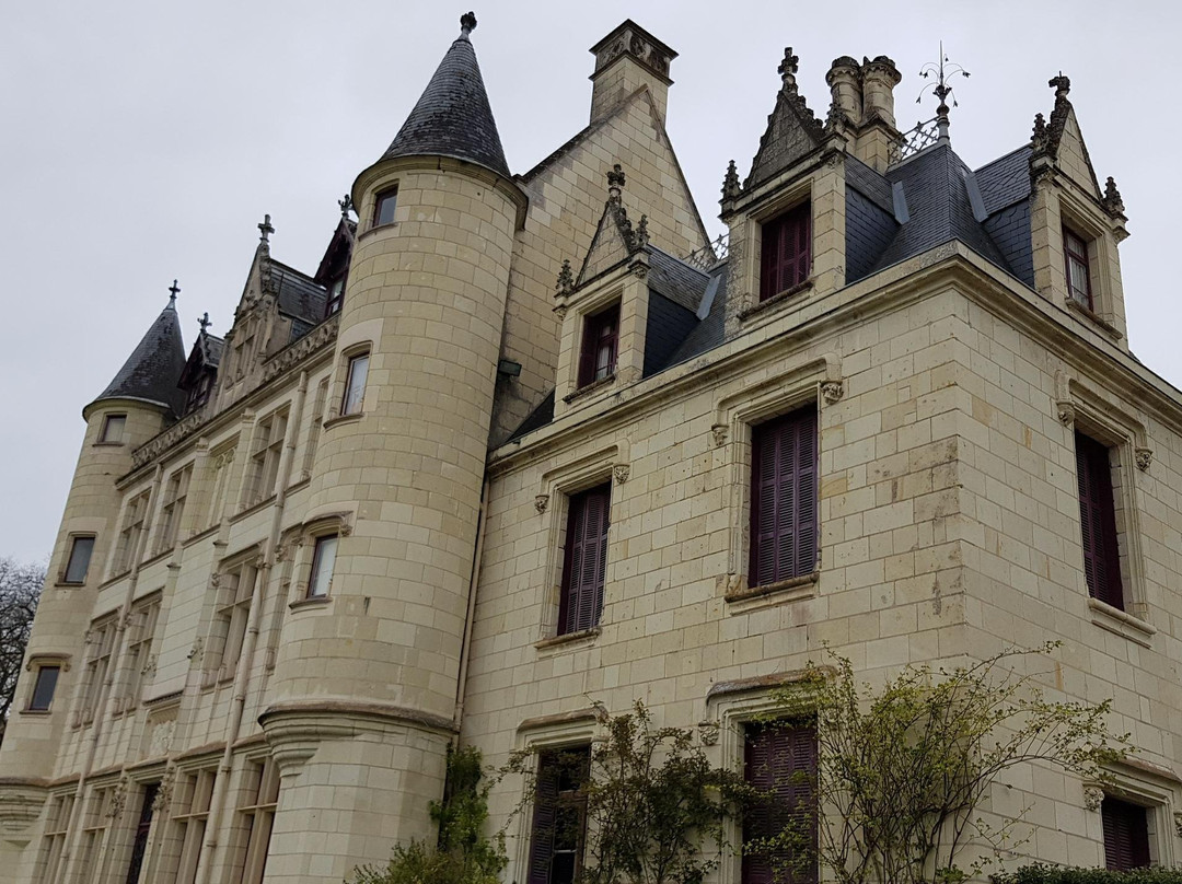 Chateau du Petit Thouars景点图片