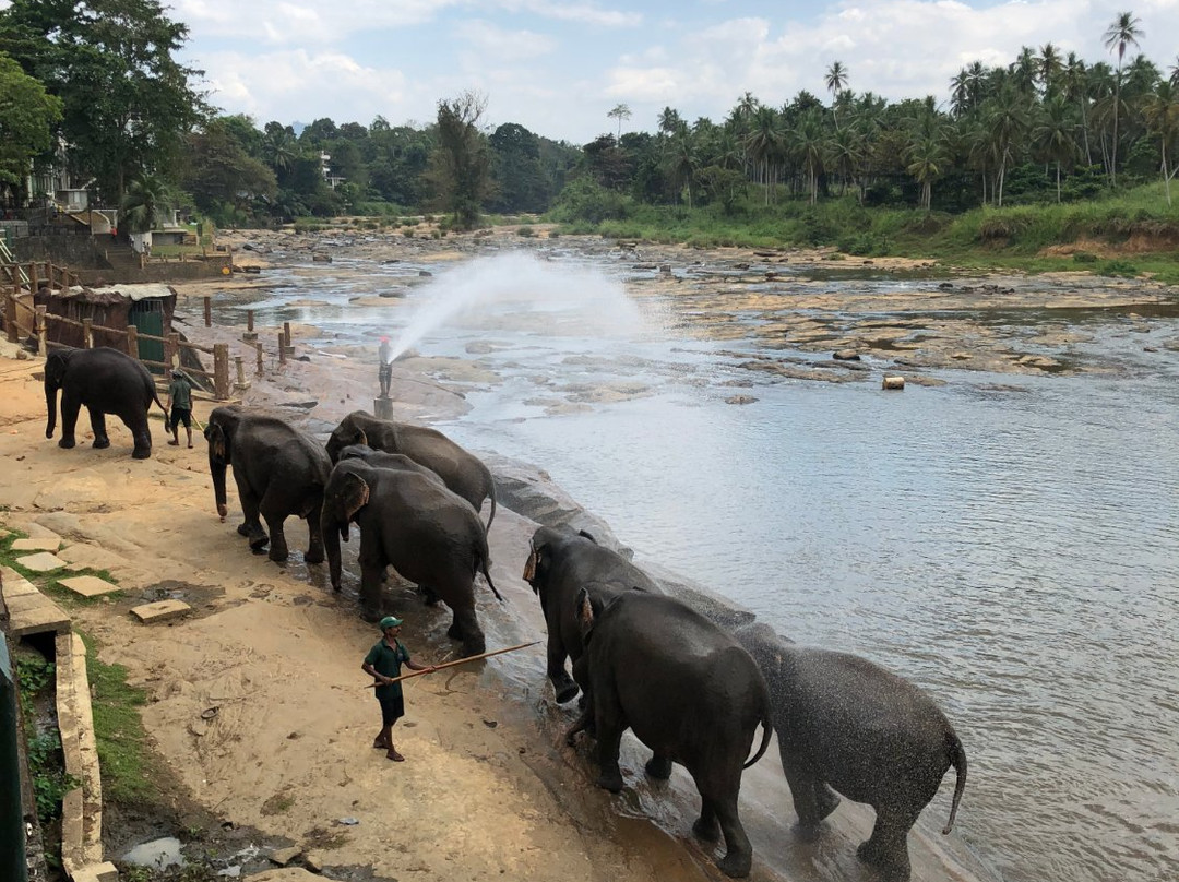 大象公园酒店主图