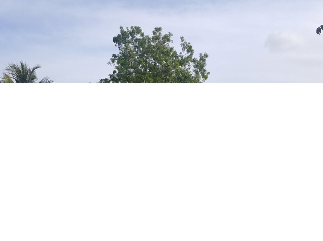 Tasik Teluk Kedak-瓜镇必去景点