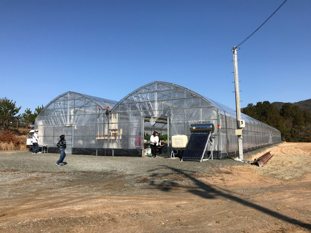 Hakuryuko Tourism Orchard-三原市必去景点