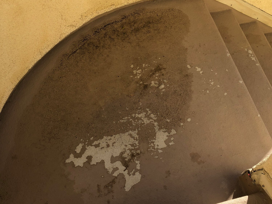 Pacific Plaza Resort主图