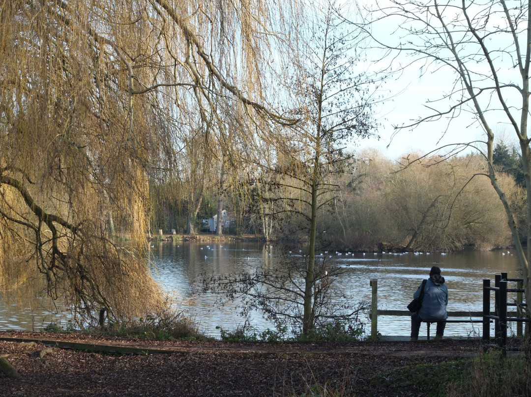 Little Britain Lake景点图片