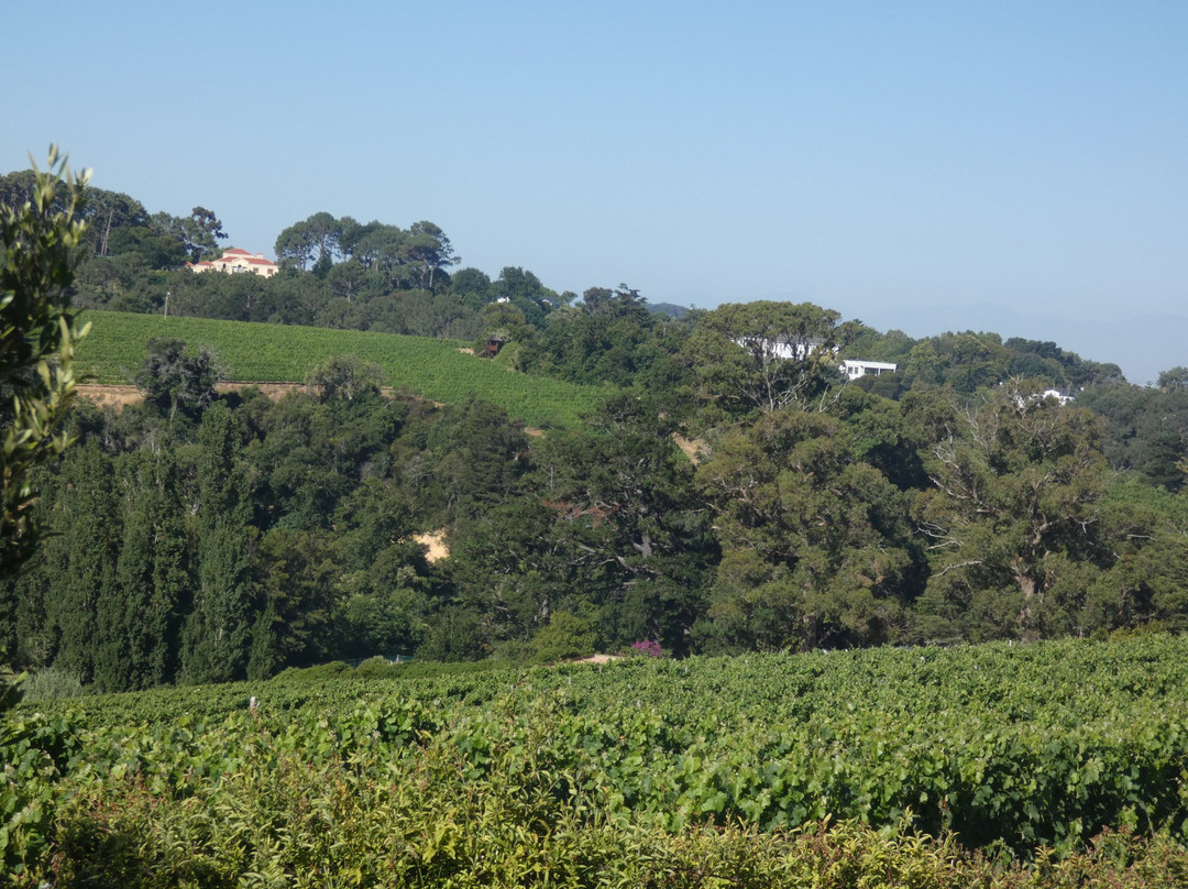 Explore Sideways-开普敦必去景点