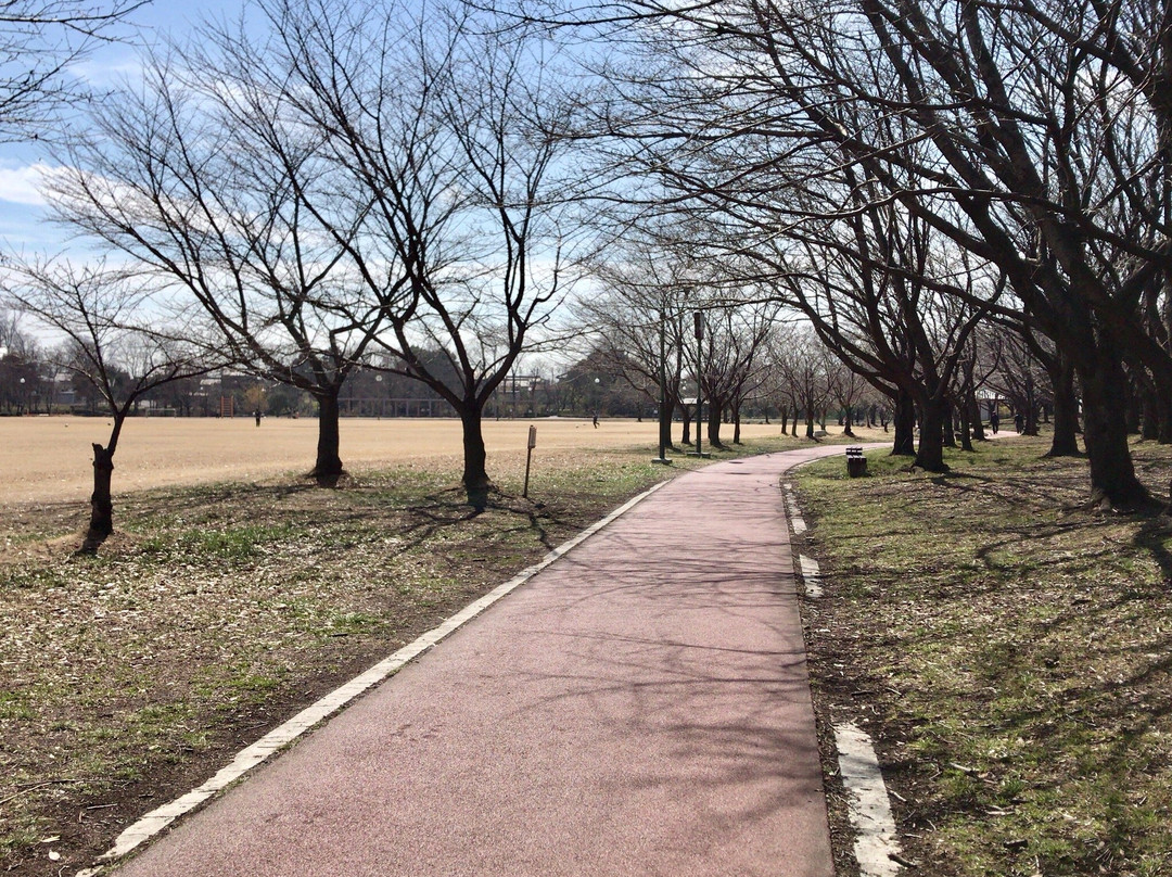 Beppunuma Park-熊谷市必去景点