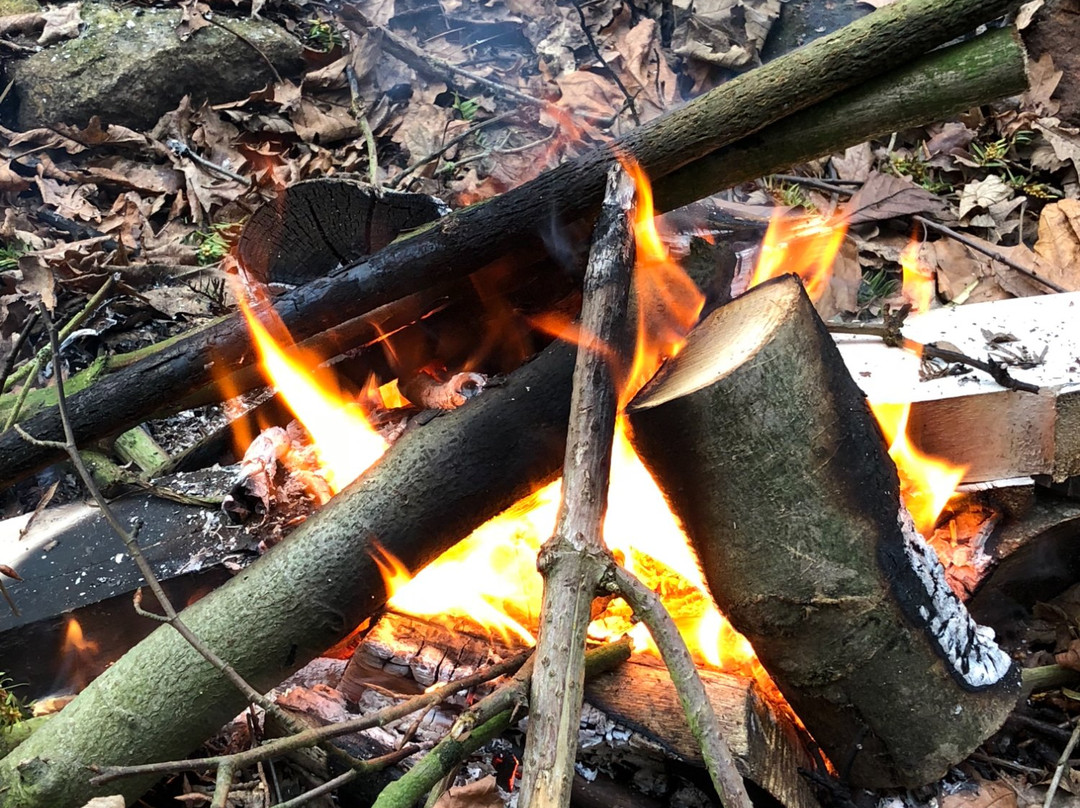 Back2Basics Camping景点图片