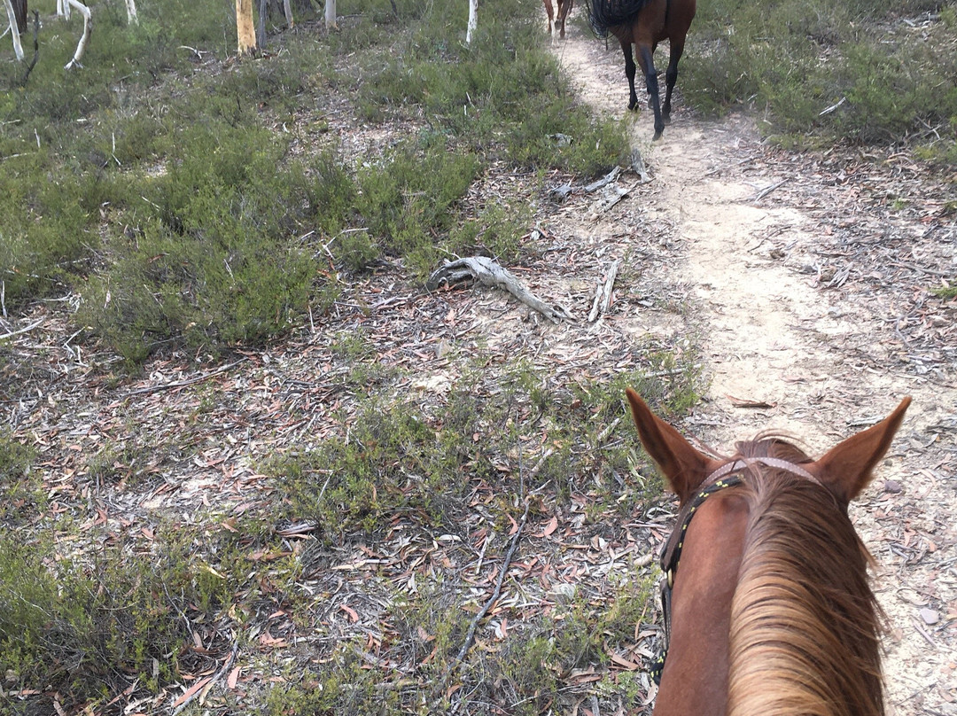 Centennial Glen Stables-布莱克希思必去景点