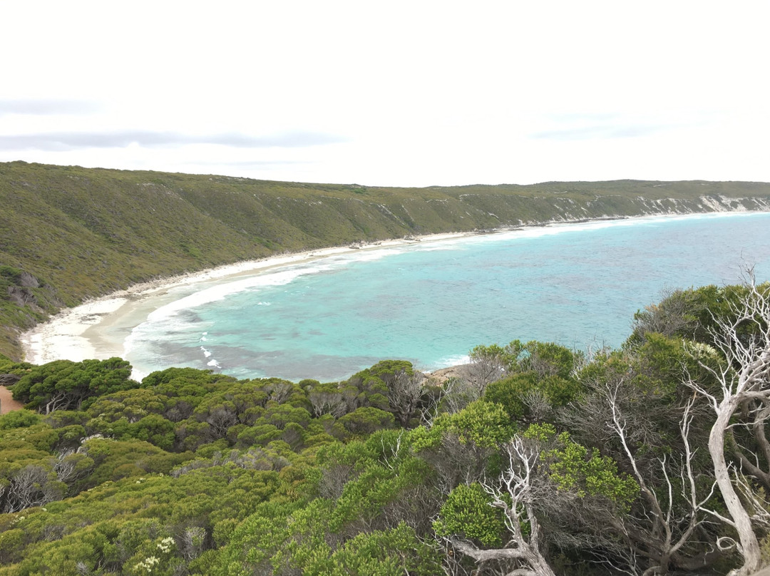 Observatory Point and Lookout景点图片