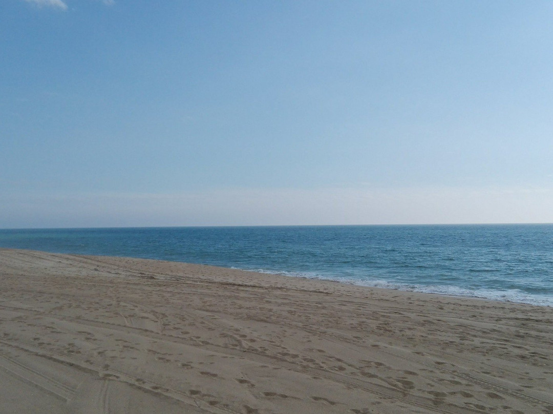 Trafal Beach景点图片