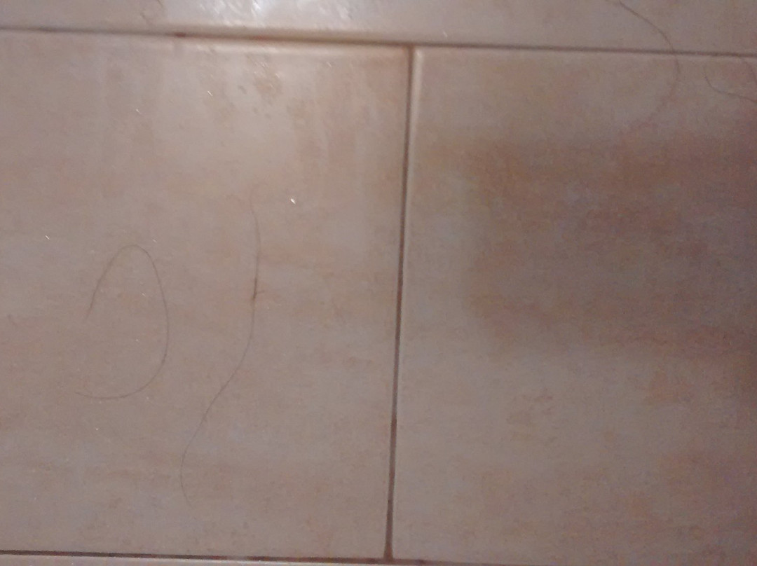 Comfort Inn And Suites Ambassador Bridge主图