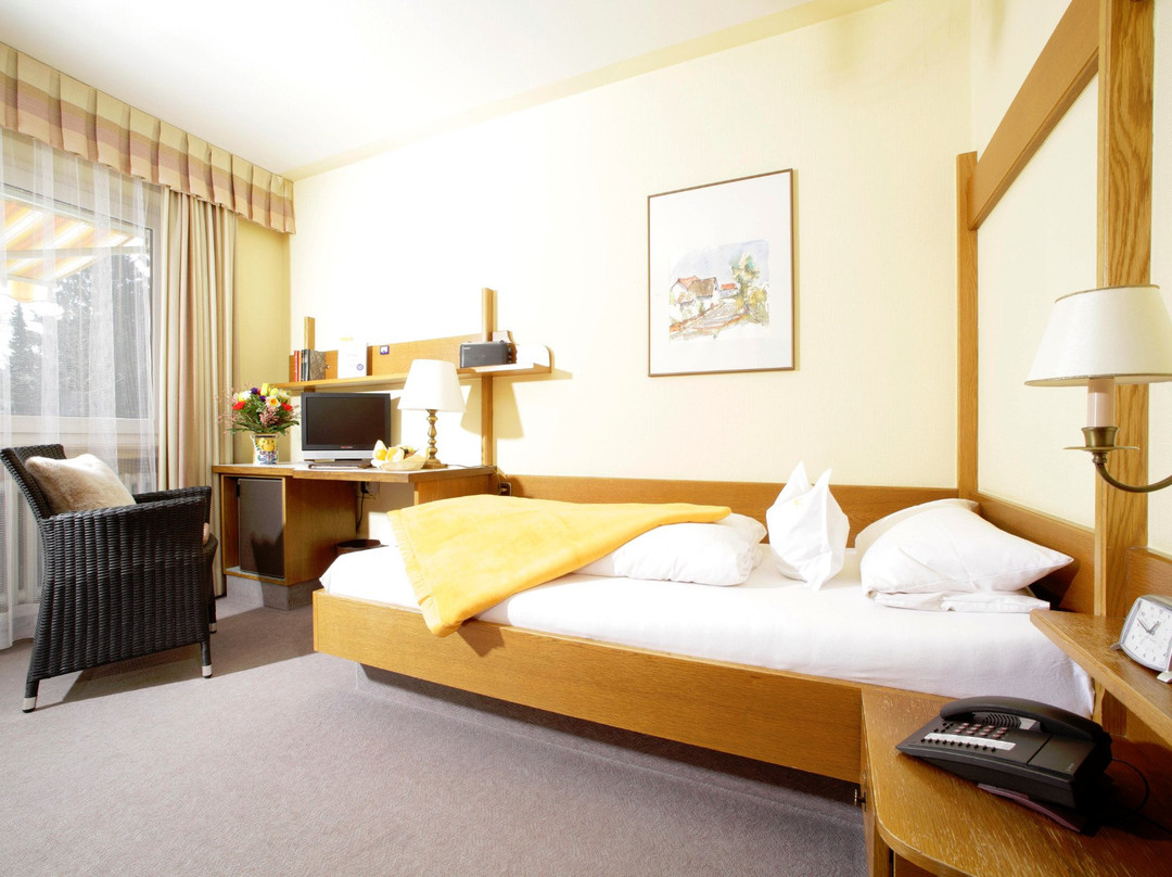 Steinle Kneipp-Kurhotel主图