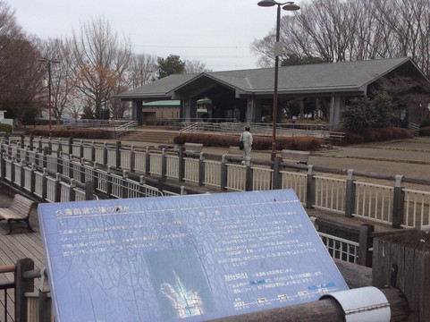 Kuki Shobu Park-久喜市必去景点