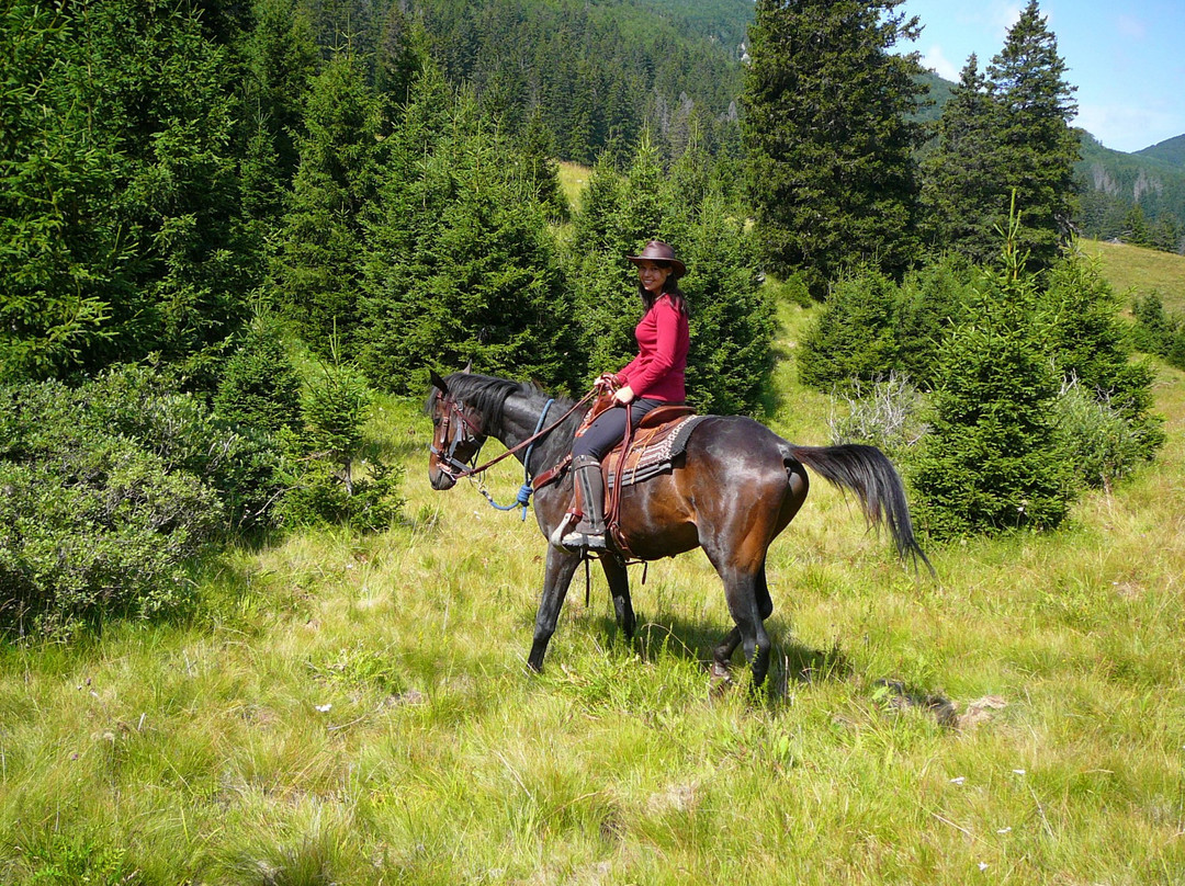 Linden Tree Retreat & Ranch - Private Day Tours景点图片