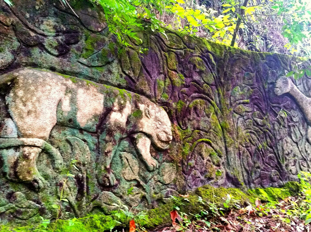 Howling Monkey Adventures景点图片