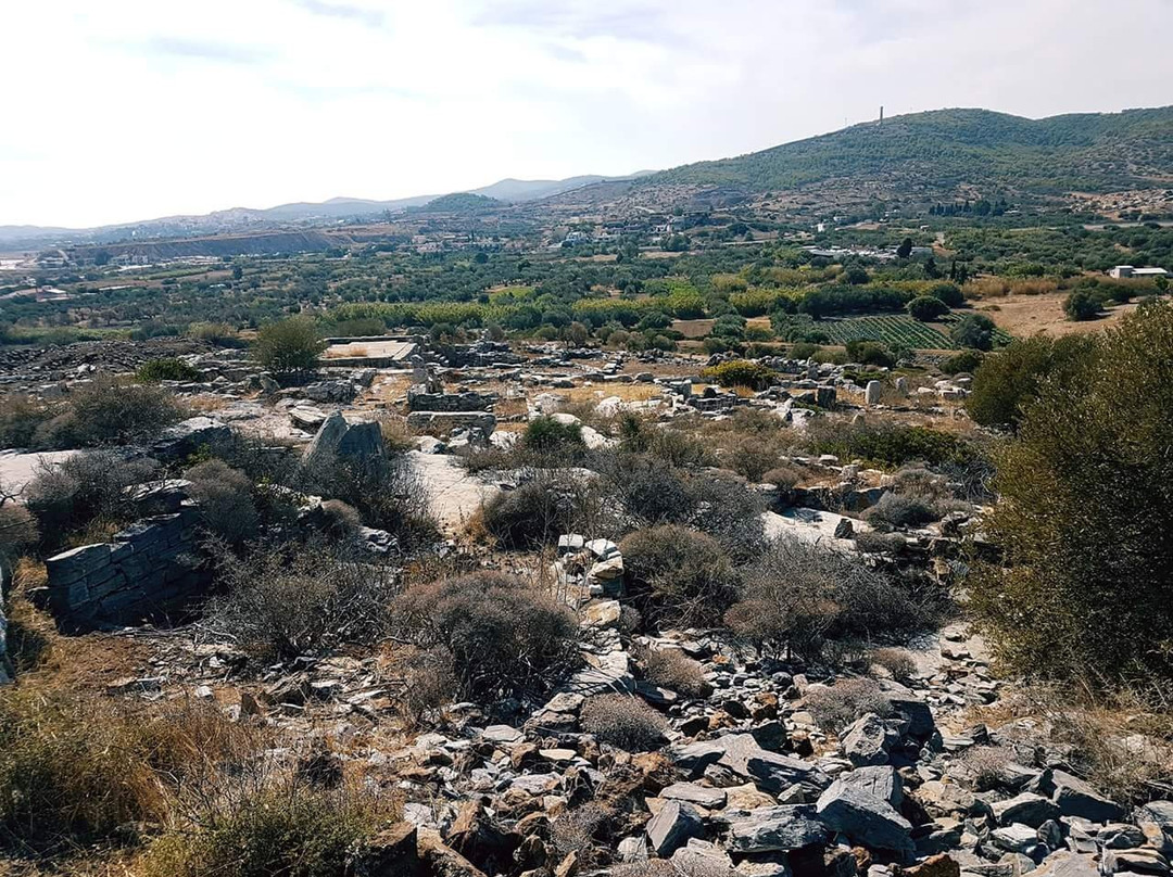 Archaeological Site of Thorikos景点图片