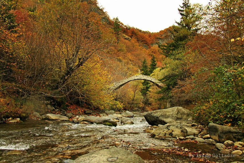 Kavtiskhevi旅游攻略图片