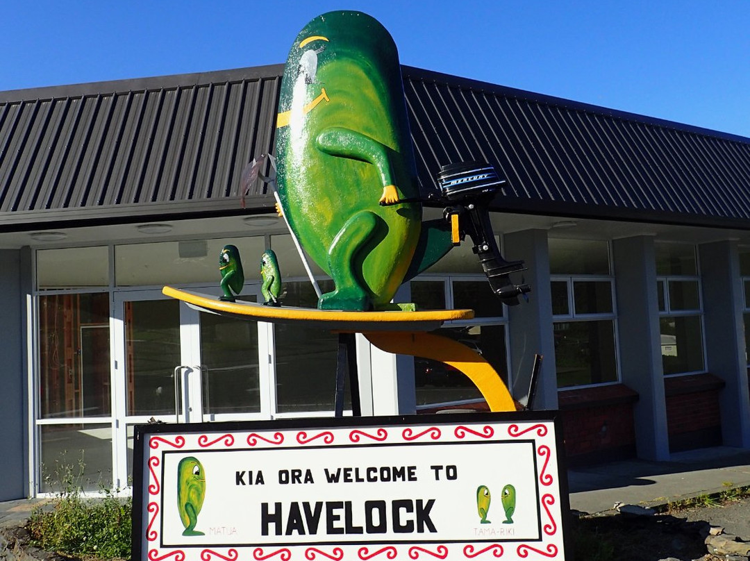 Havelock Motel and Motor Lodge主图