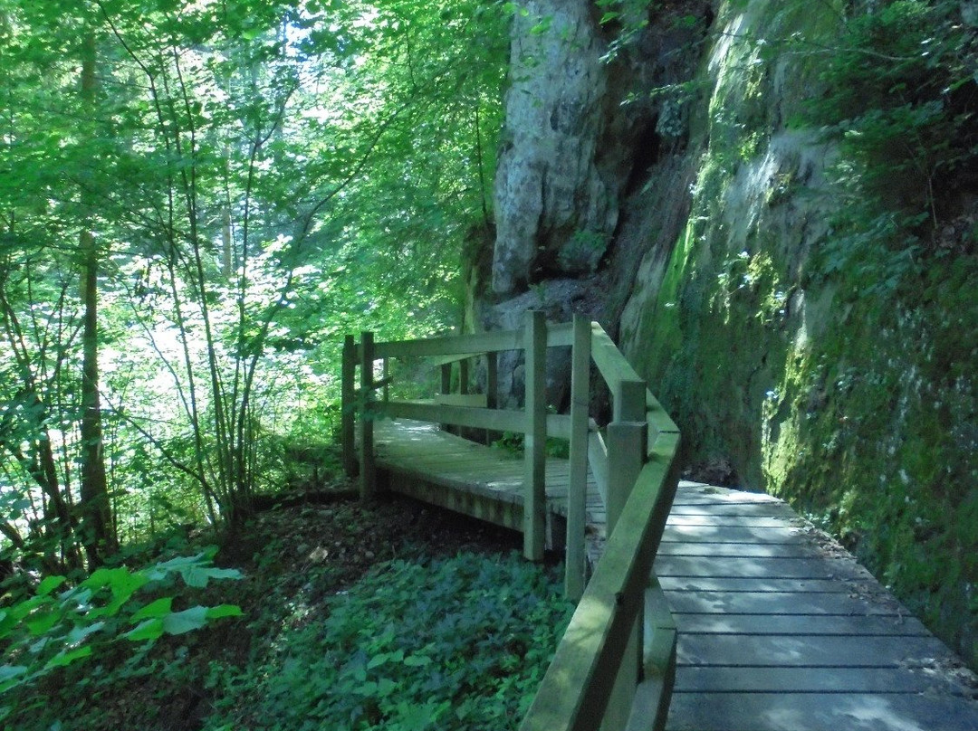 Vallee du Gotteron-弗里堡必去景点