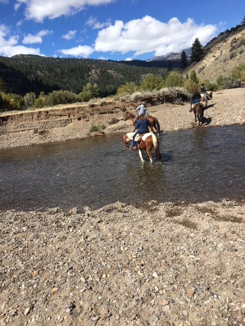 Leavitt Meadows Pack Station景点图片