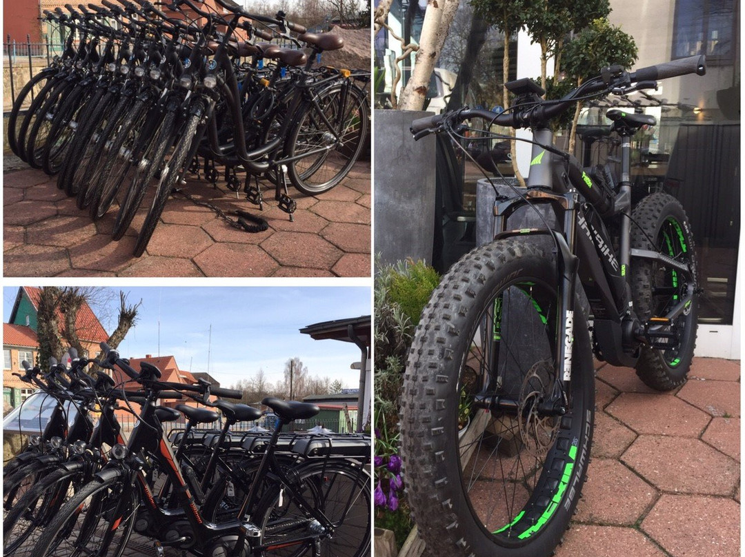 E-Bike & Fahrradverleih Plau am See景点图片