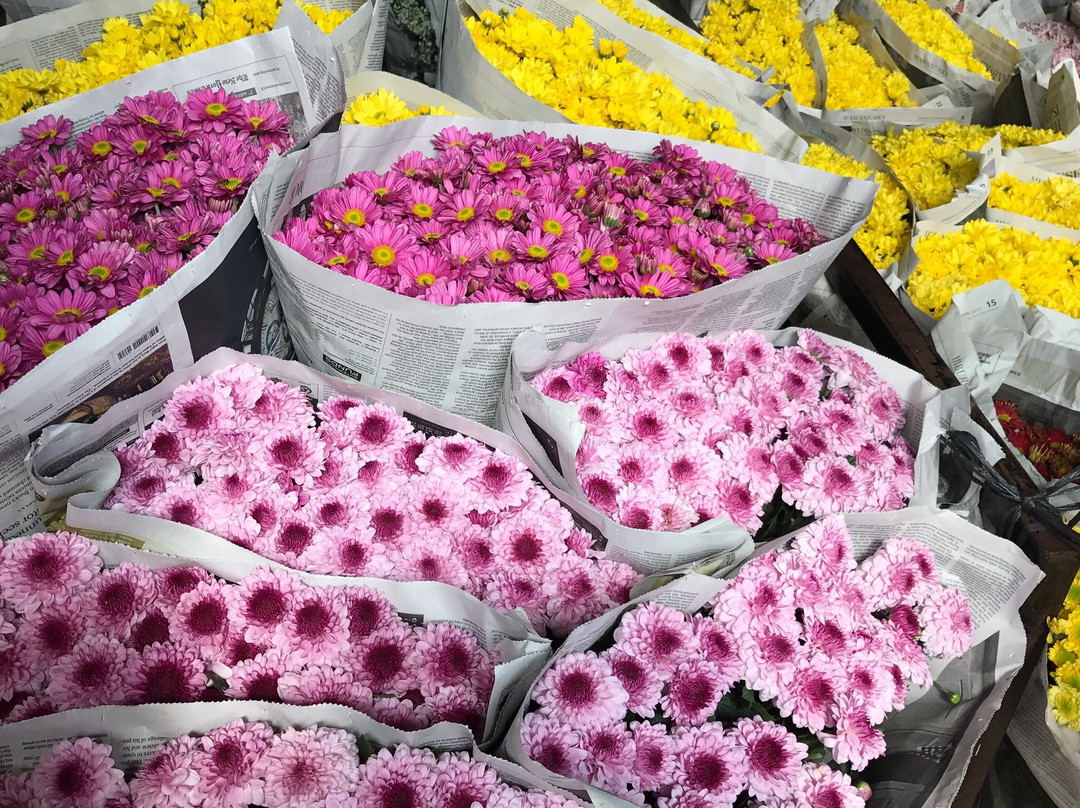 Rawa Belong Flower Market-雅加达必去景点