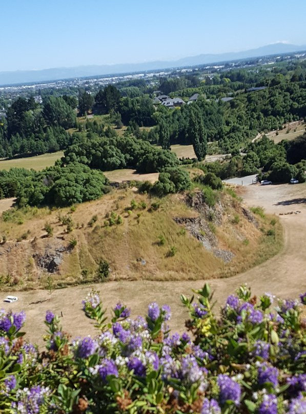 Halswell Quarry Park景点图片