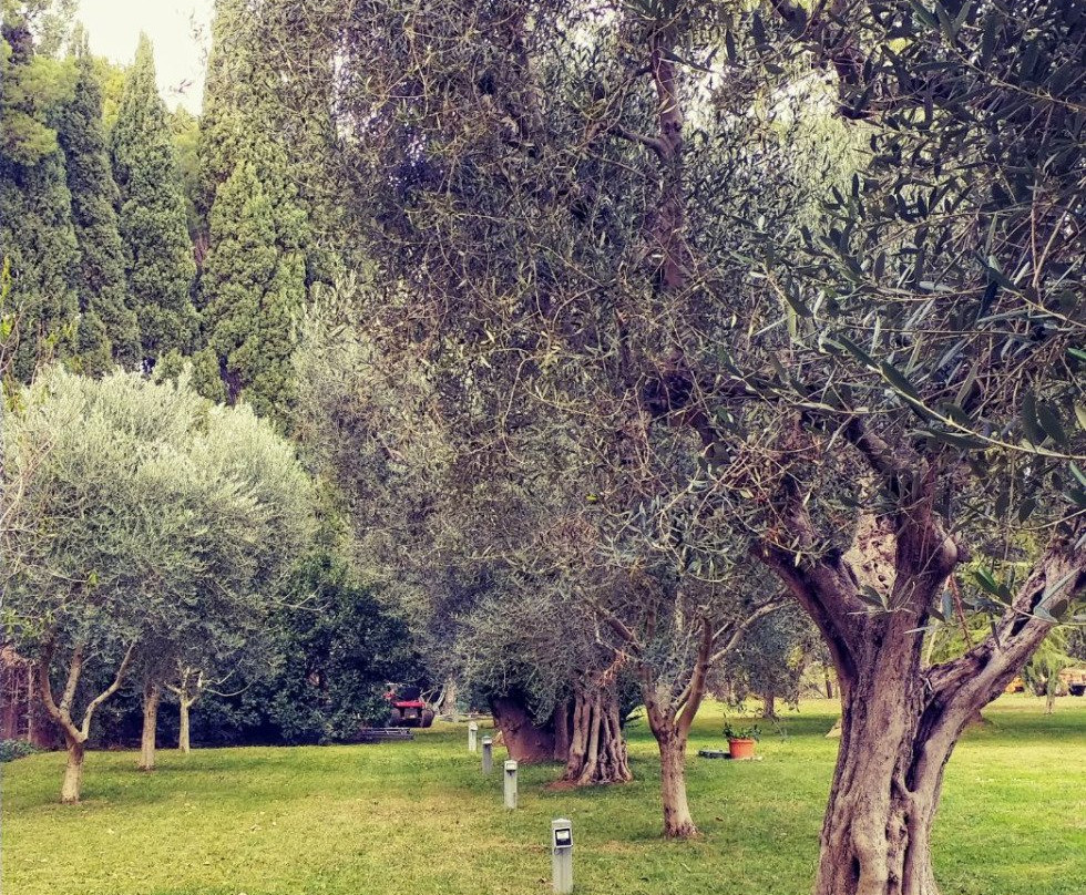 Bed & Breakfast Vallegato主图