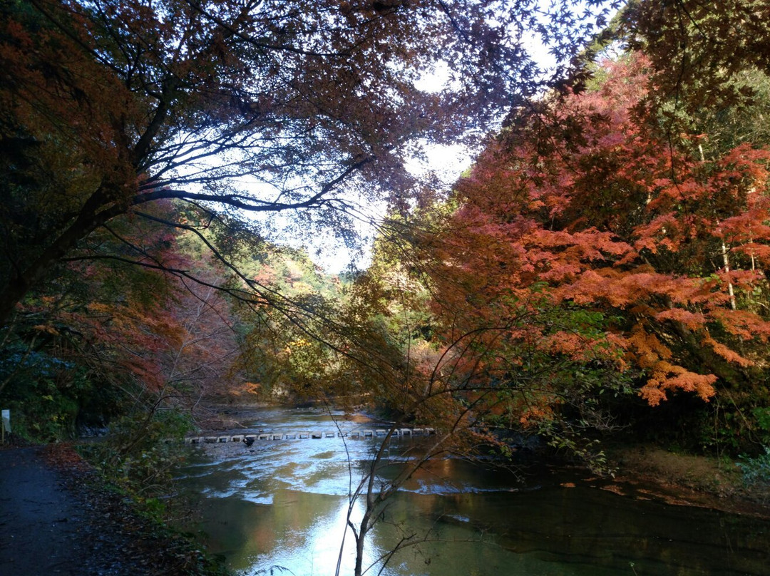 Yoro Valley-大多喜町必去景点
