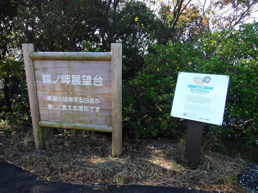 Unosaki Lookout-土佐清水市必去景点