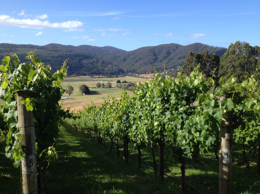 Leven Valley Vineyard-Gunns Plains必去景点