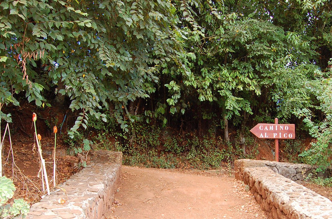 Finca de Osorio景点图片