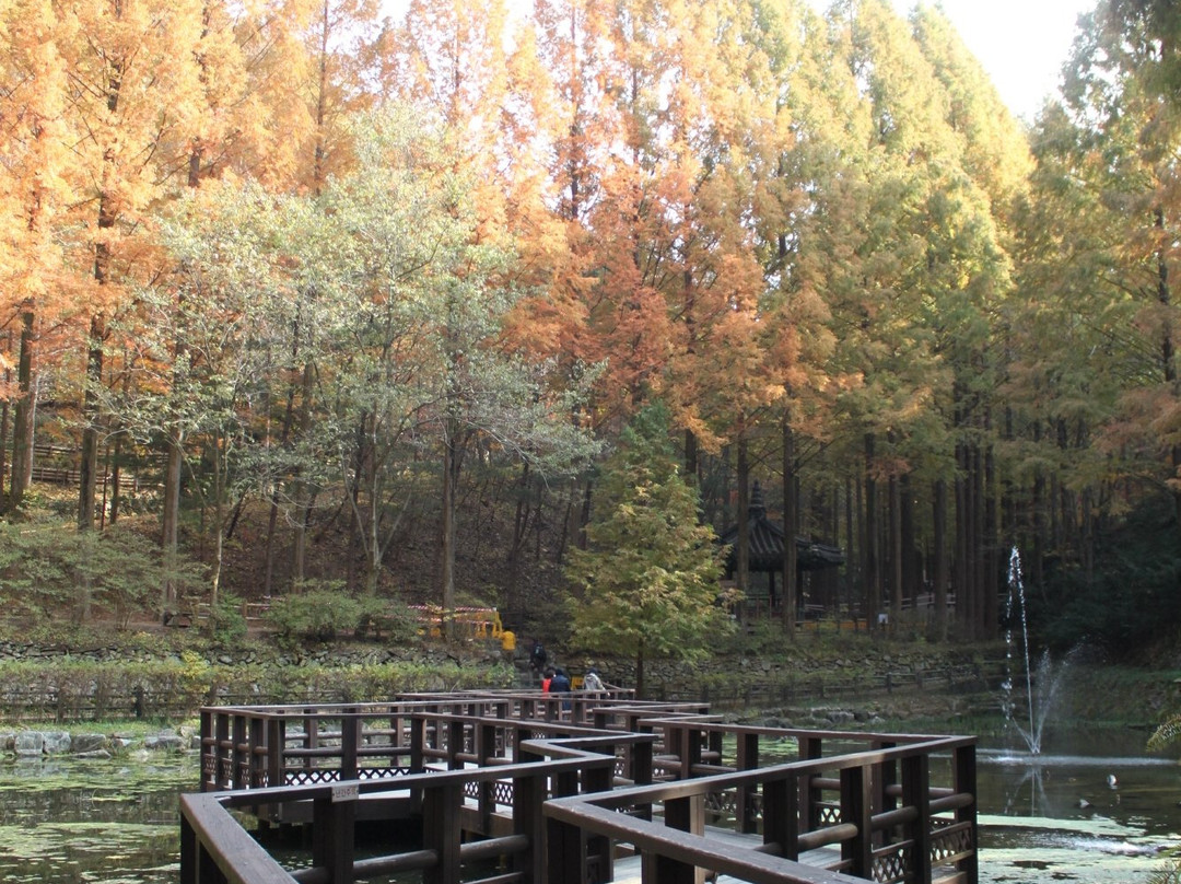 Jangtaesan Natural Forest-大田必去景点