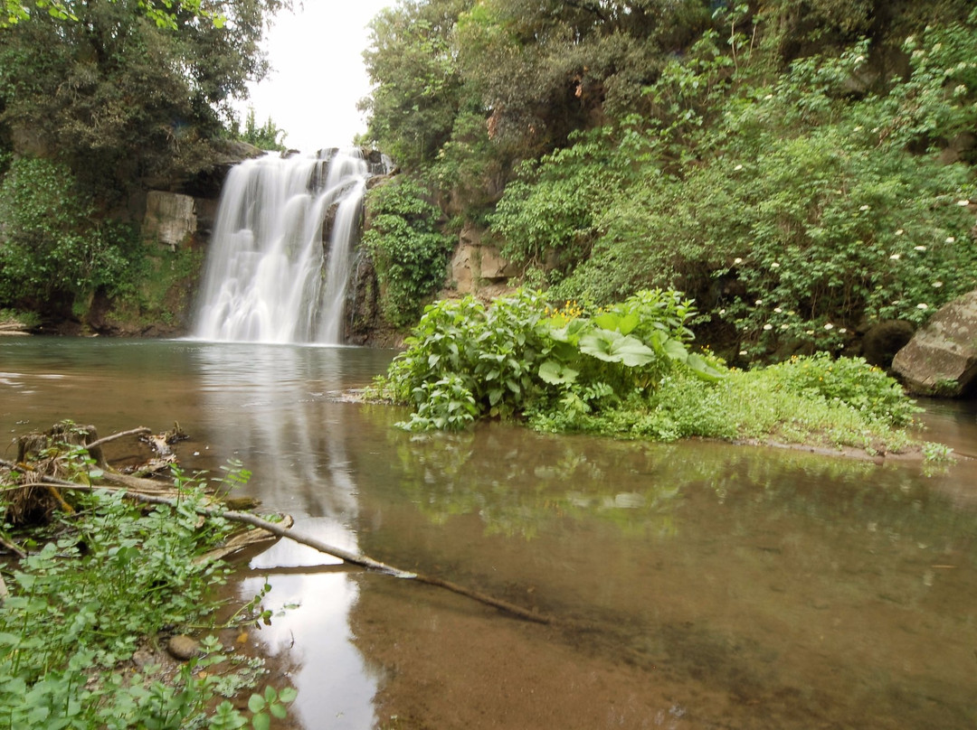 Riserva Naturale Regionale Selva del Lamone景点图片