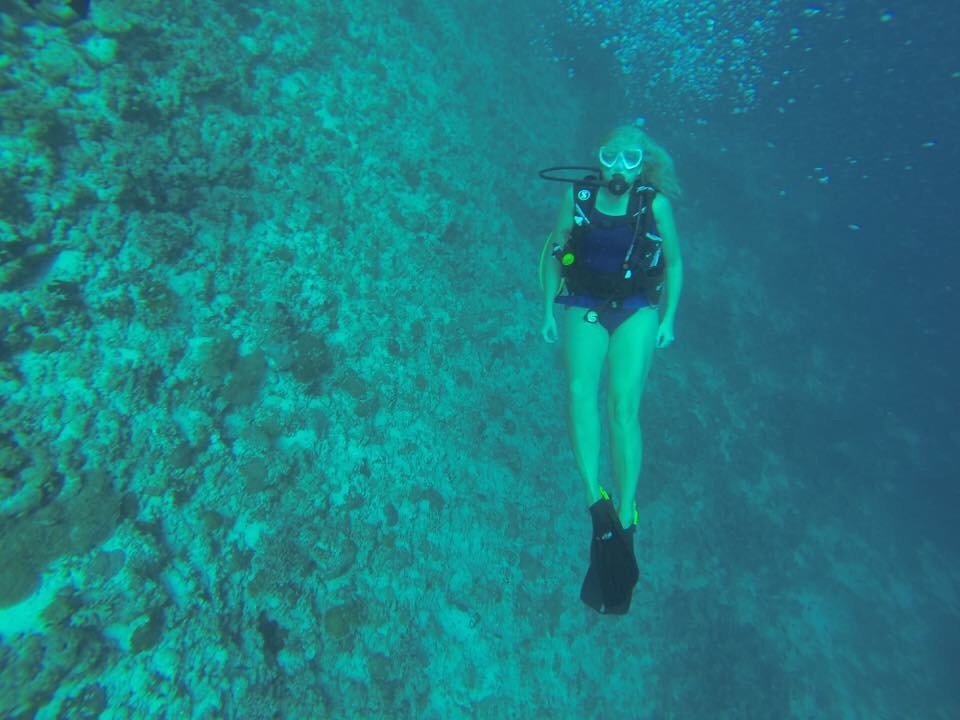 Fish Head Dives & Water Sports-Hangnaameedhoo Island必去景点