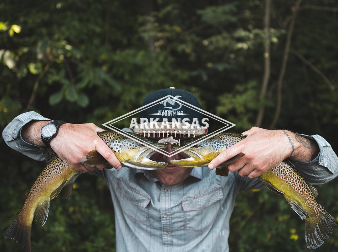 North Arkansas Troutfitters景点图片