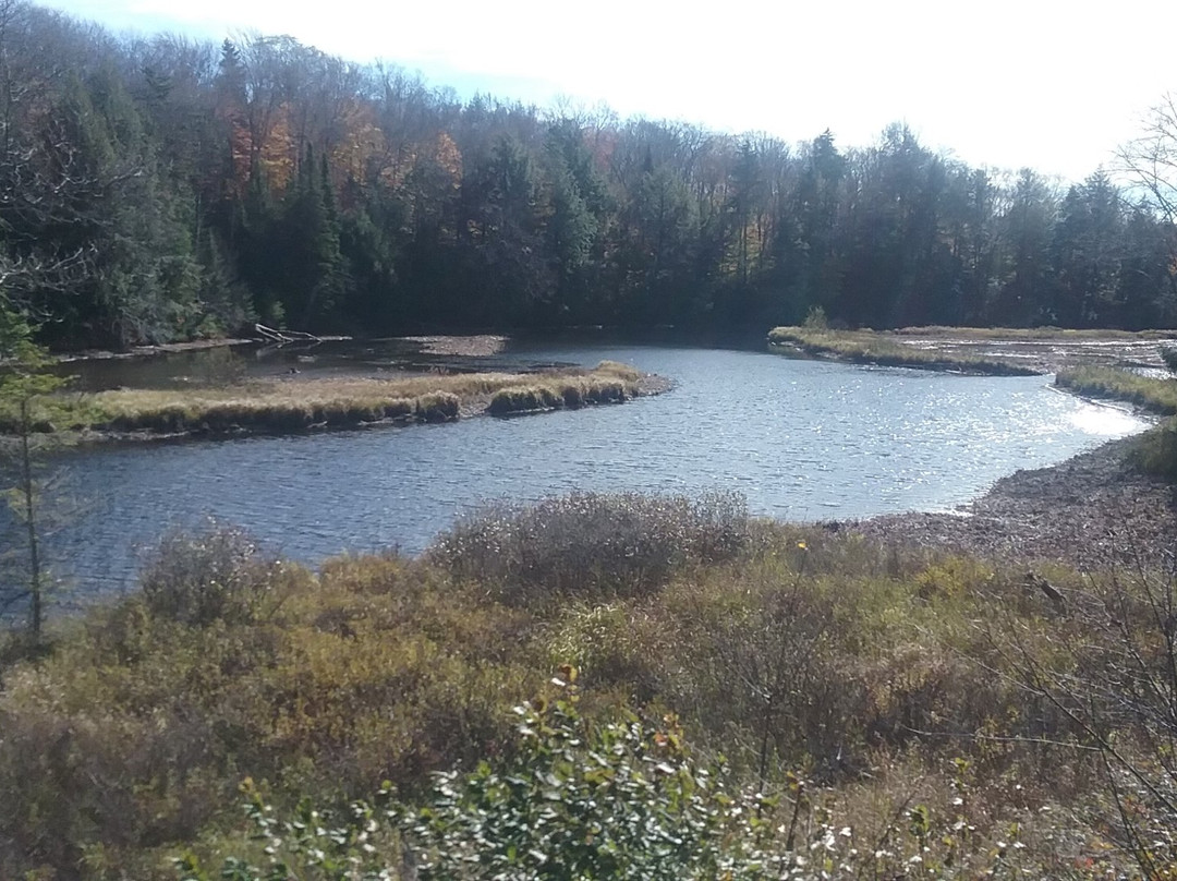 Adirondack Scenic Railroad景点图片