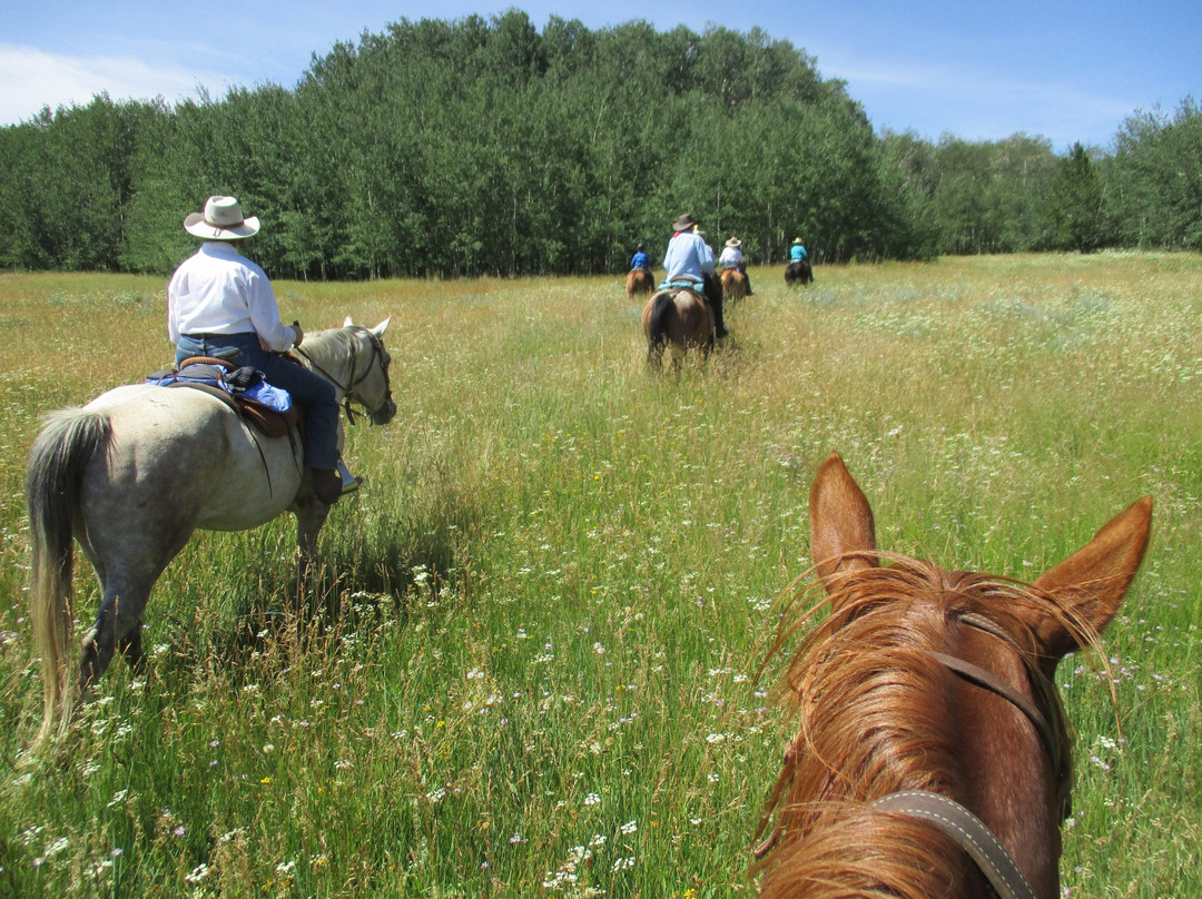 Blue Sky Sage Horseback Riding Adventures景点图片