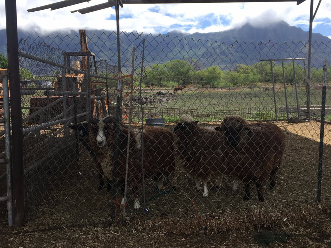 Naked Cow Dairy Farm & Creamery-怀厄奈必去景点
