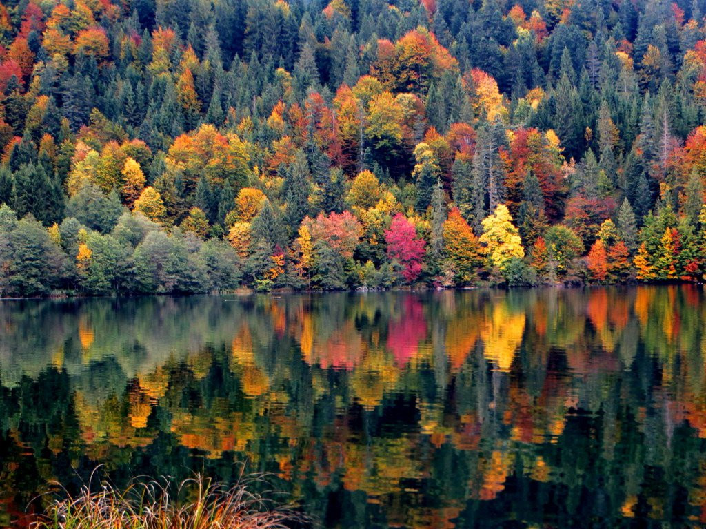 Barmsee