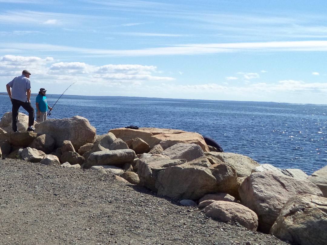 Ned's Point Lighthouse景点图片
