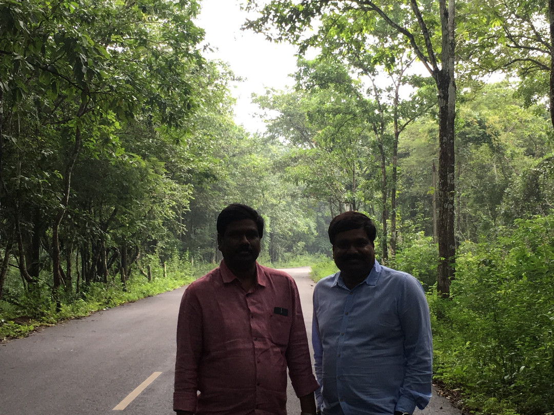 Anamalai Wild Life Sanctuary-Pollachi Town必去景点