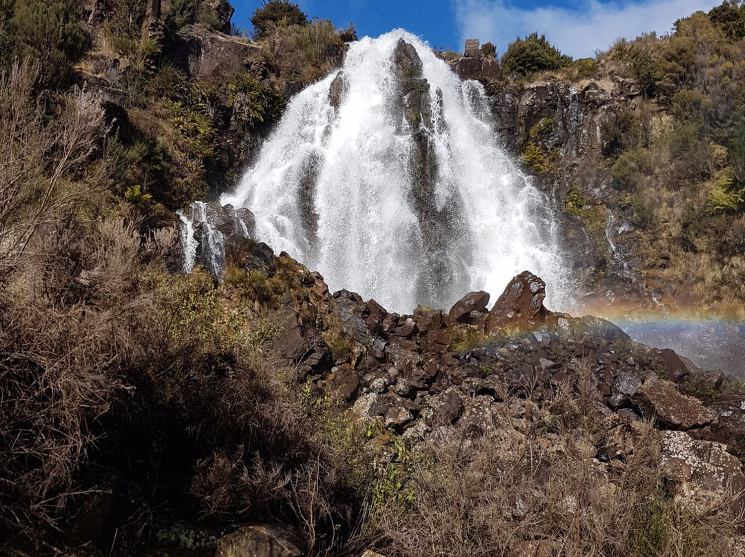 Corinna旅游景点-Waratah Falls