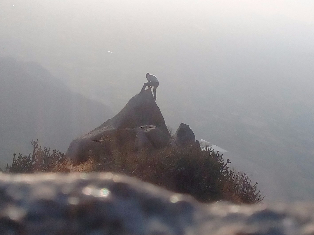 Eco Adventures景点图片