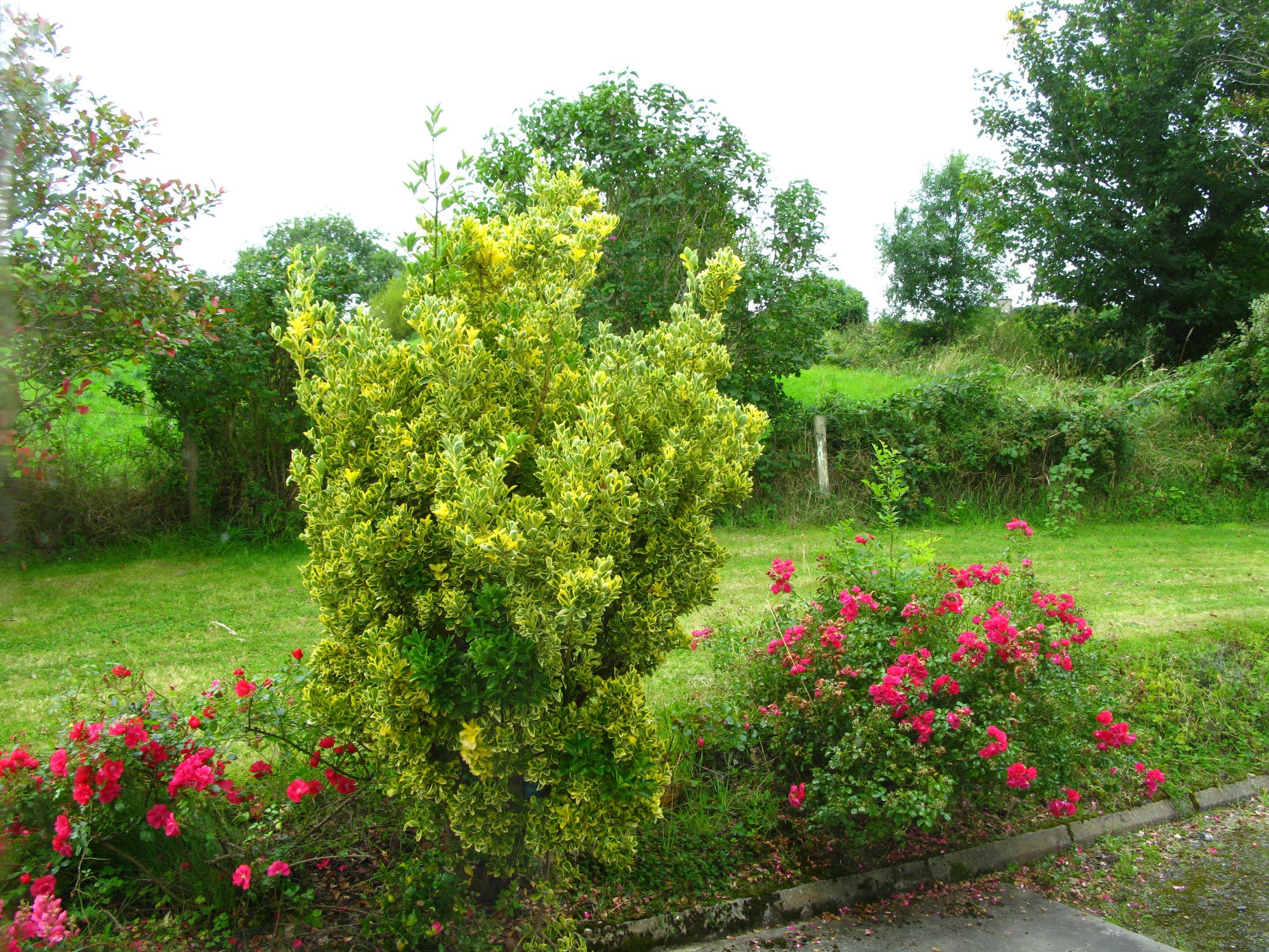 Stonecroft B & B-酒店景观