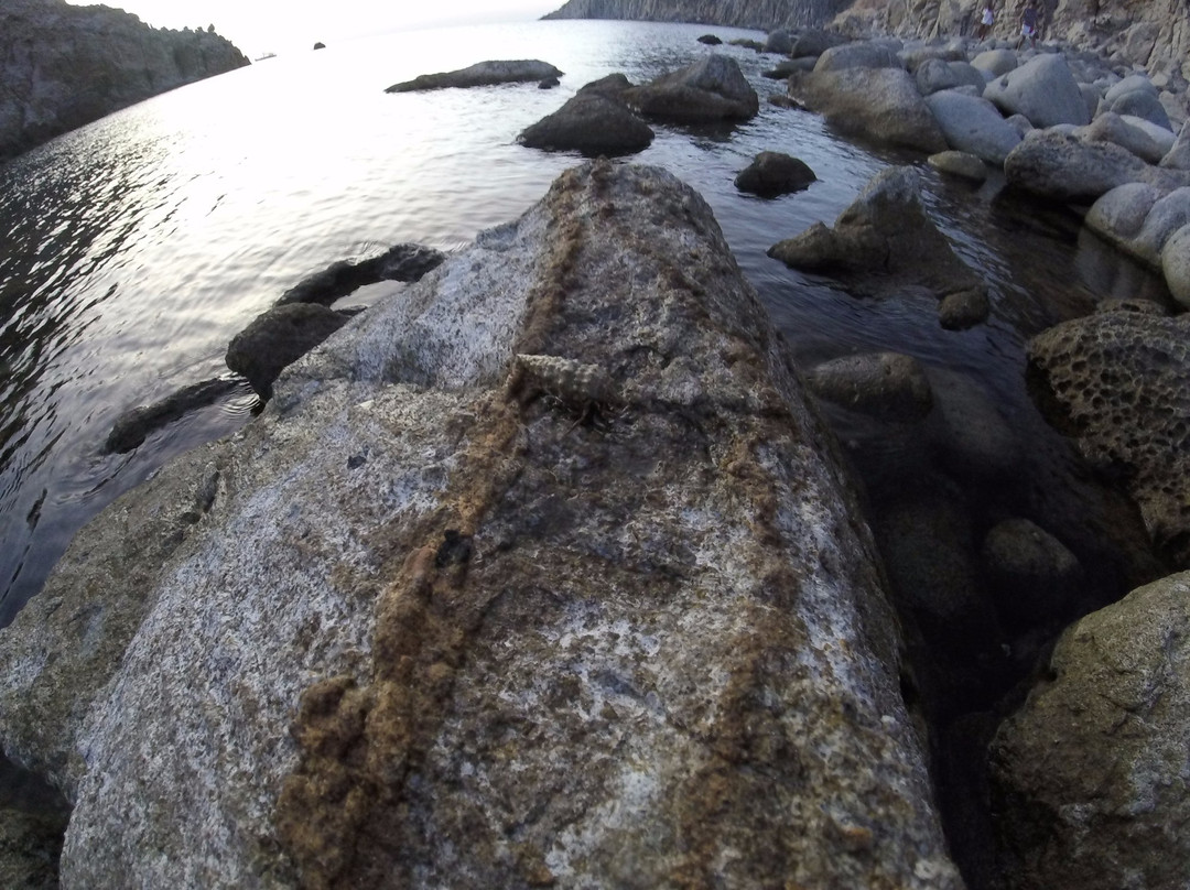Spiaggia di Cala Fico-Carloforte必去景点